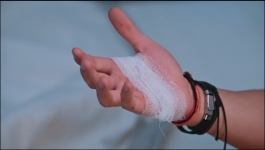 Apollena - 29th January 2025